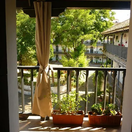 Un Oasis En El Corazon De Sevilla