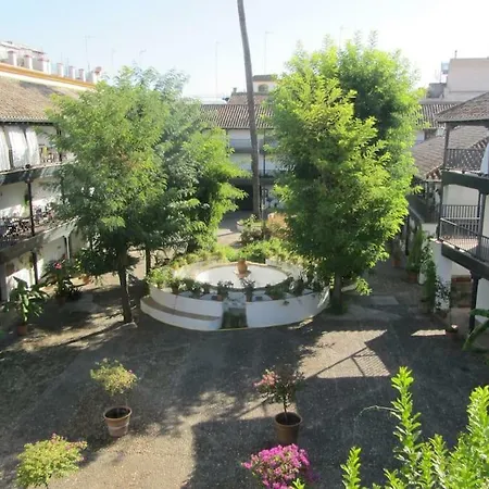 Un Oasis En El Corazon De Lägenhet