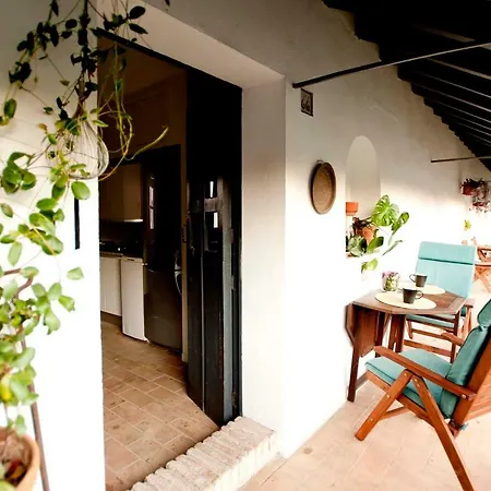 Un Oasis En El Corazon De Sevilla