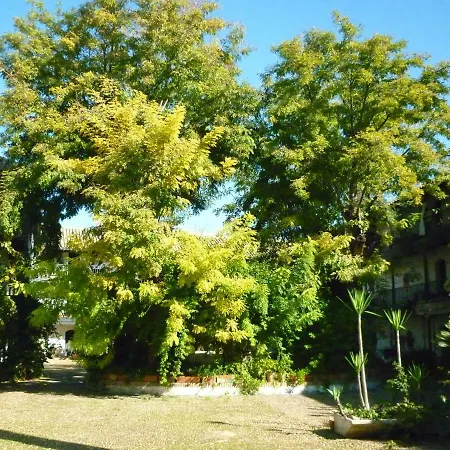 Un Oasis En El Corazon De Lägenhet