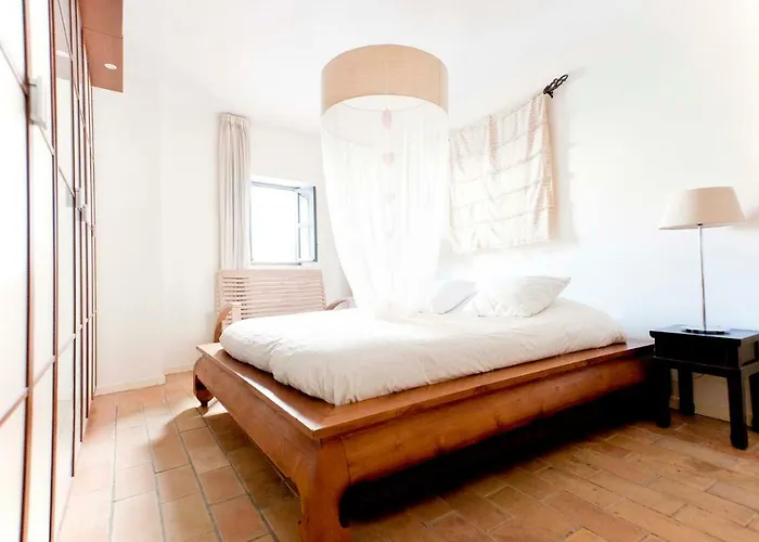 Un Oasis En El Corazon De 아파트