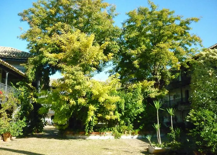 Un Oasis En El Corazon De 아파트