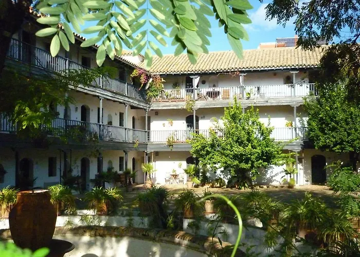 Un Oasis En El Corazon De 아파트
