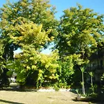 Un Oasis En El Corazon De Lägenhet