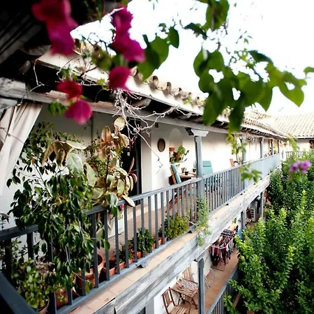 Un Oasis En El Corazon De Lägenhet Sevilla