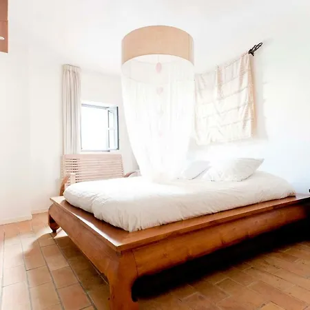 Un Oasis En El Corazón De Apartamento