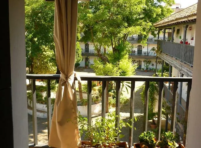 Un Oasis En El Corazon De Sewilla