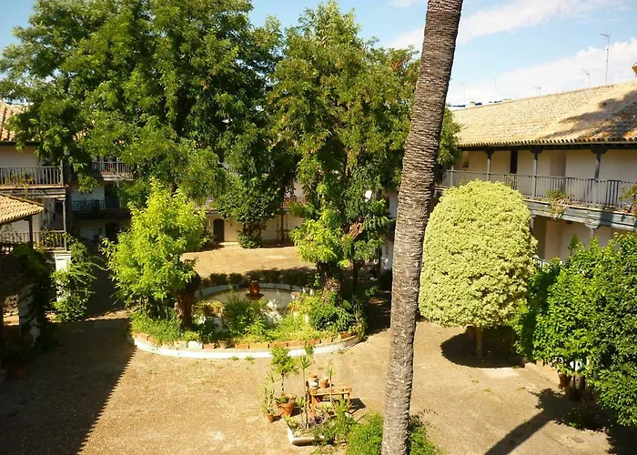 Un Oasis En El Corazon De Sewilla